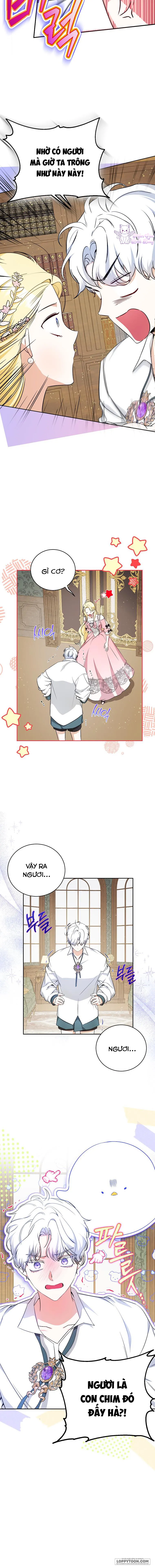 Hình Như Tôi Đã Xuyên Vào Cuốn Tiểu Thuyết Nào Đó - Chap 16 - Trang 15