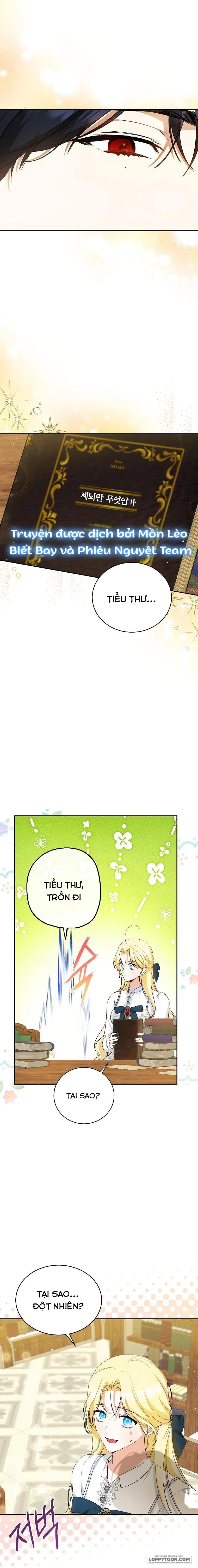Hình Như Tôi Đã Xuyên Vào Cuốn Tiểu Thuyết Nào Đó - Chap 20 - Trang 6