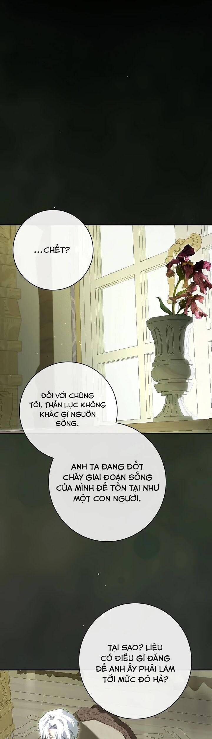 Hình Như Tôi Đã Xuyên Vào Cuốn Tiểu Thuyết Nào Đó - Chap 64 - Trang 3