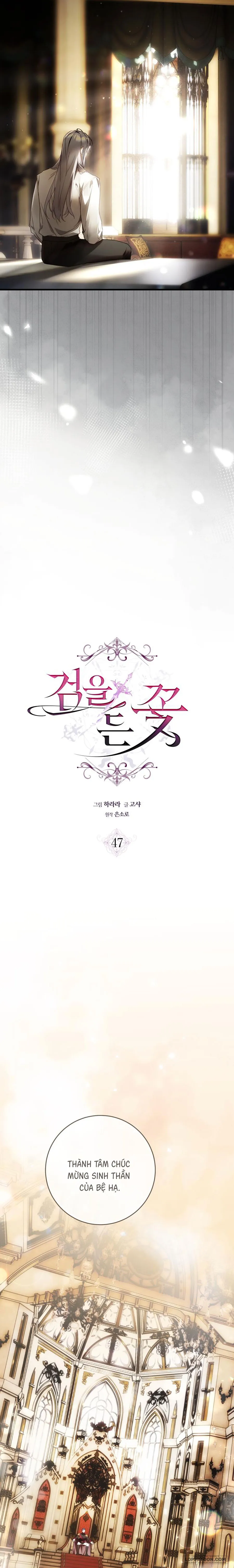 Hoa Bên Lưỡi Kiếm - Chap 47 - Trang 8