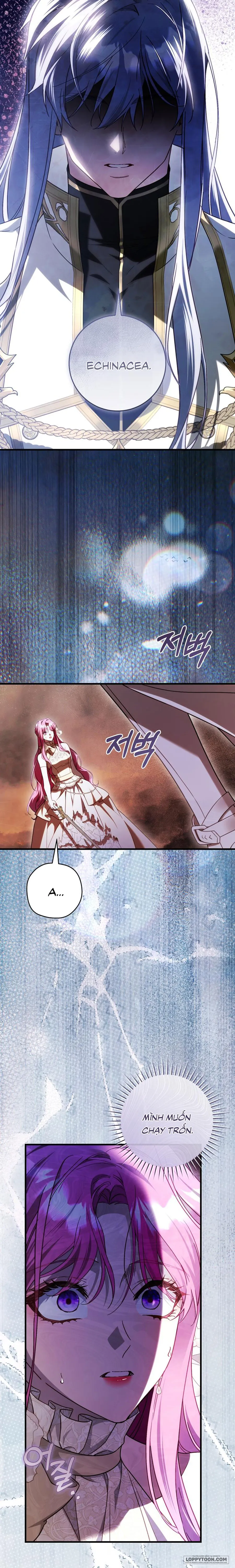 Hoa Bên Lưỡi Kiếm - Chap 49 - Trang 13