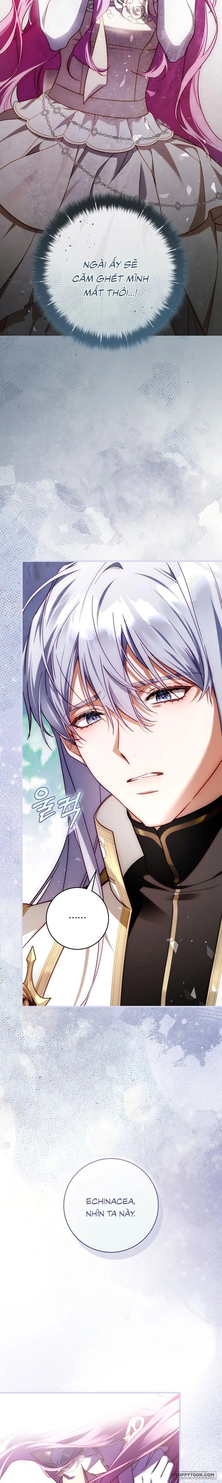 Hoa Bên Lưỡi Kiếm - Chap 49 - Trang 20