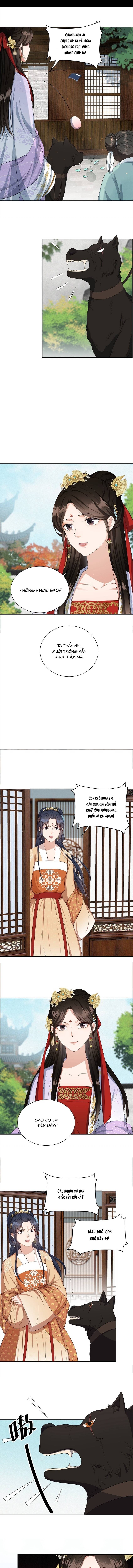 Hoa Đào Chiếu Án Ngọc - Chap 21 - Trang 3
