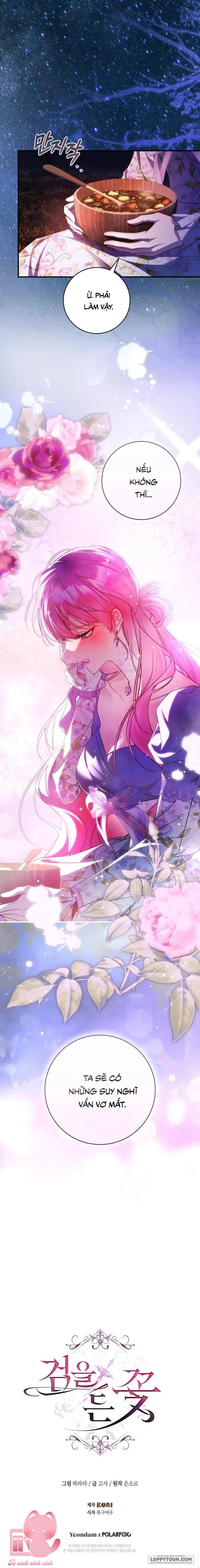 Hoa Giương Kiếm - Chap 42 - Trang 25