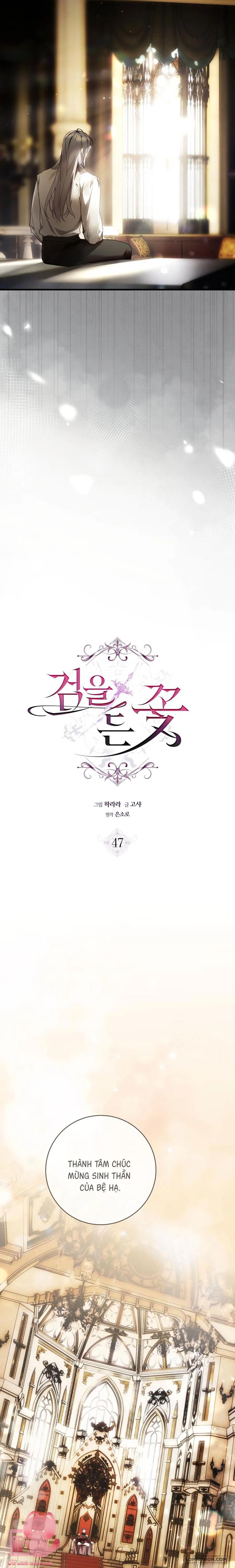 Hoa Giương Kiếm - Chap 47 - Trang 8