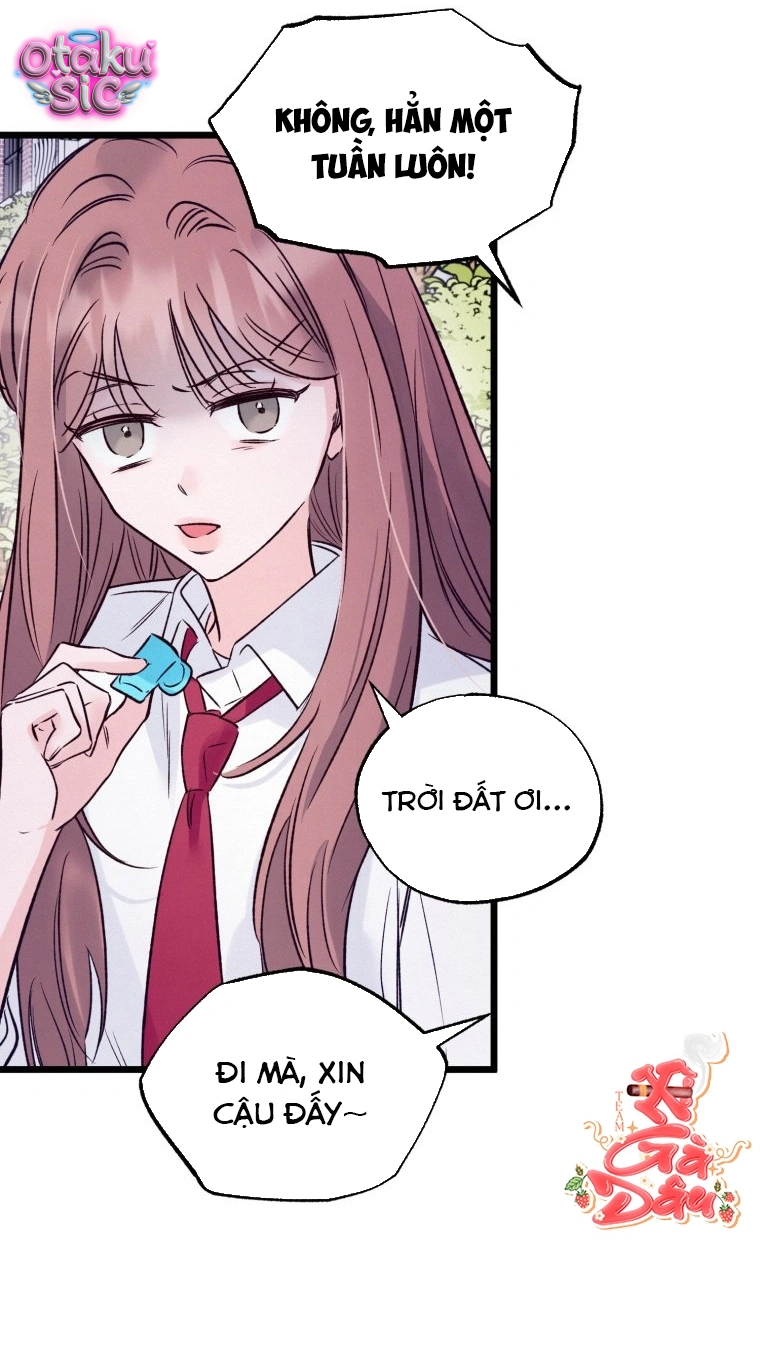 Hoa Khôi Lớp 8 - Chap 11 - Trang 23