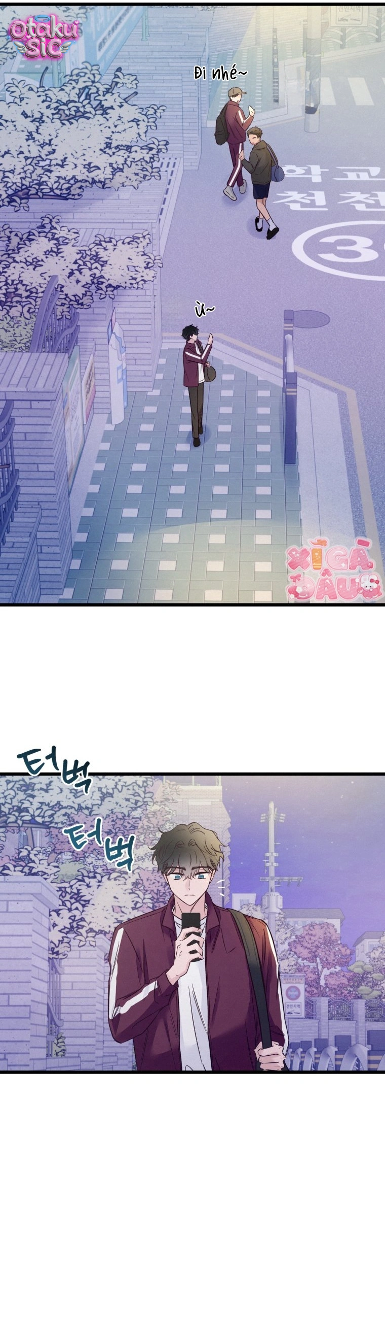 Hoa Khôi Lớp 8 - Chap 16 - Trang 23