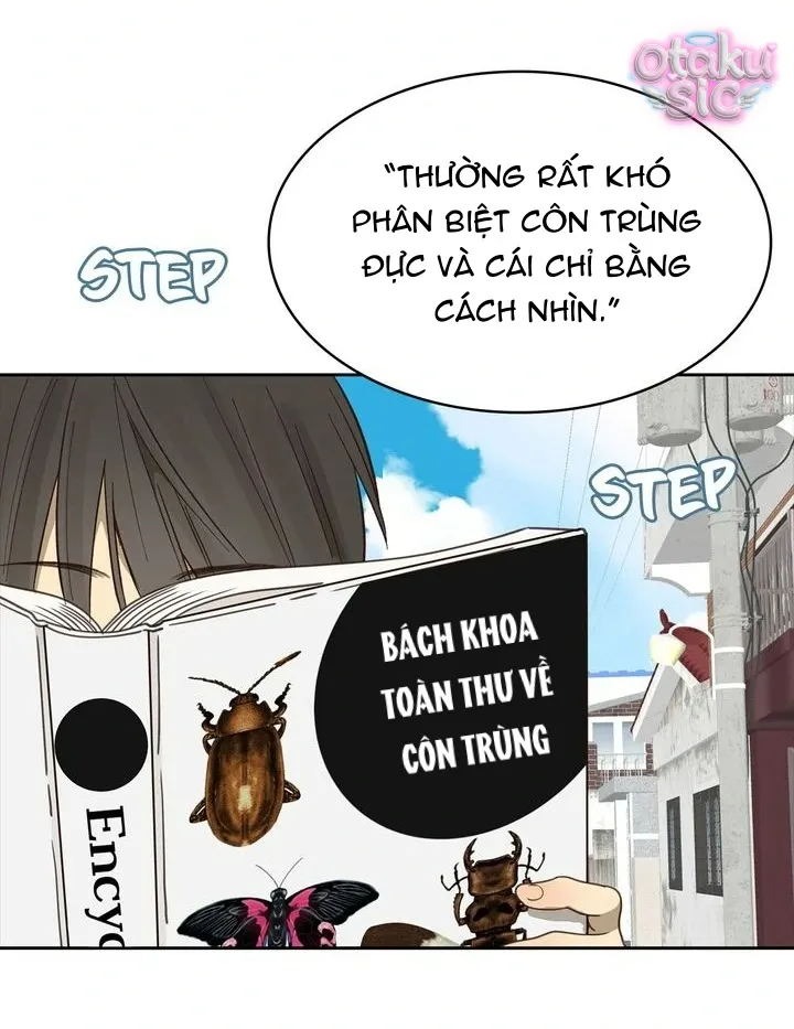 Hoa Là Mồi Nhử - Chap 15 - Trang 16