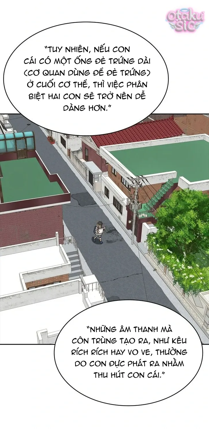 Hoa Là Mồi Nhử - Chap 15 - Trang 17