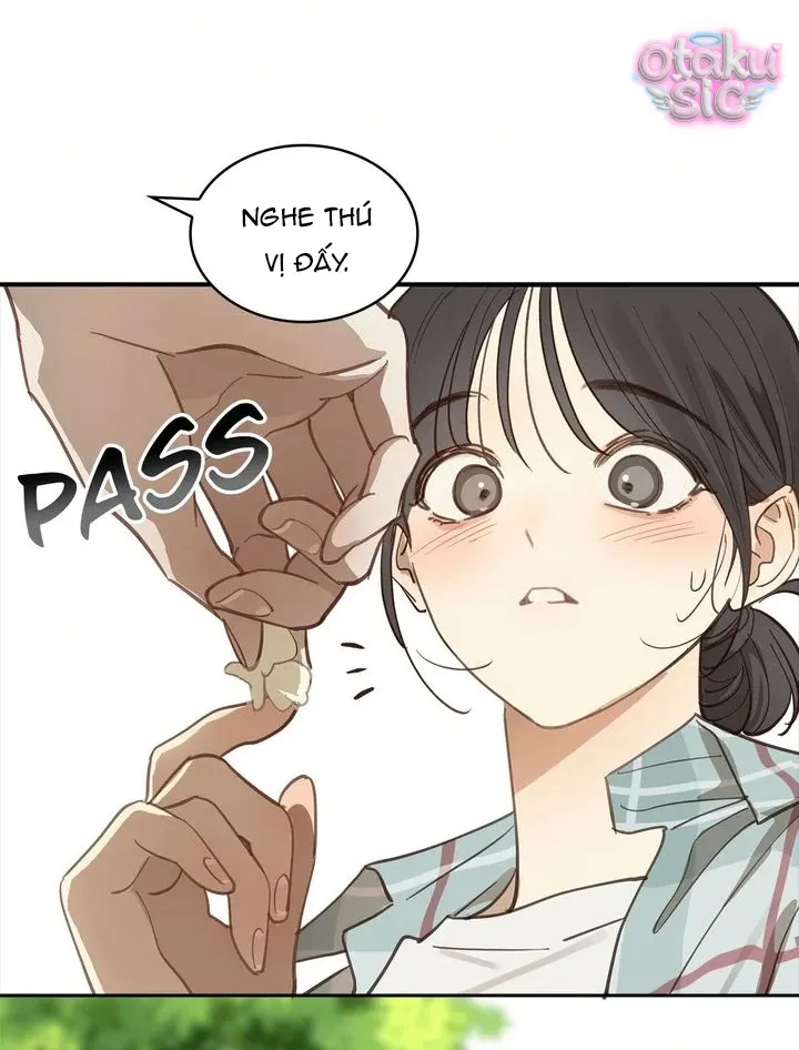 Hoa Là Mồi Nhử - Chap 19 - Trang 15