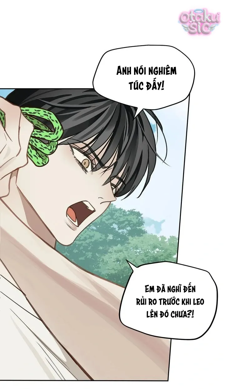 Hoa Là Mồi Nhử - Chap 21 - Trang 27
