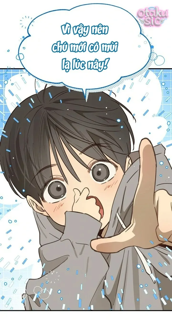 Hoa Là Mồi Nhử - Chap 25 - Trang 12