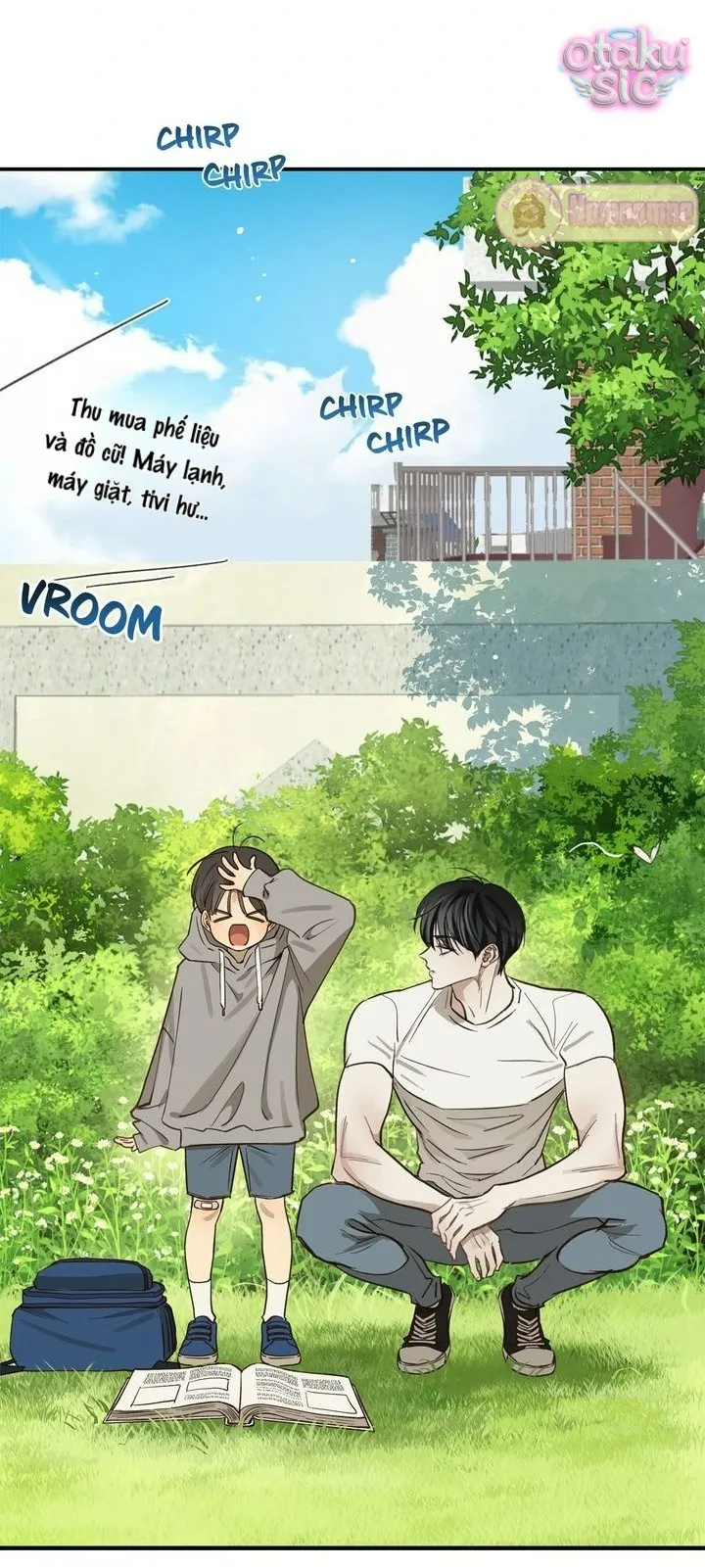 Hoa Là Mồi Nhử - Chap 25 - Trang 17