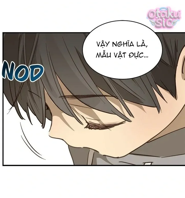 Hoa Là Mồi Nhử - Chap 25 - Trang 21