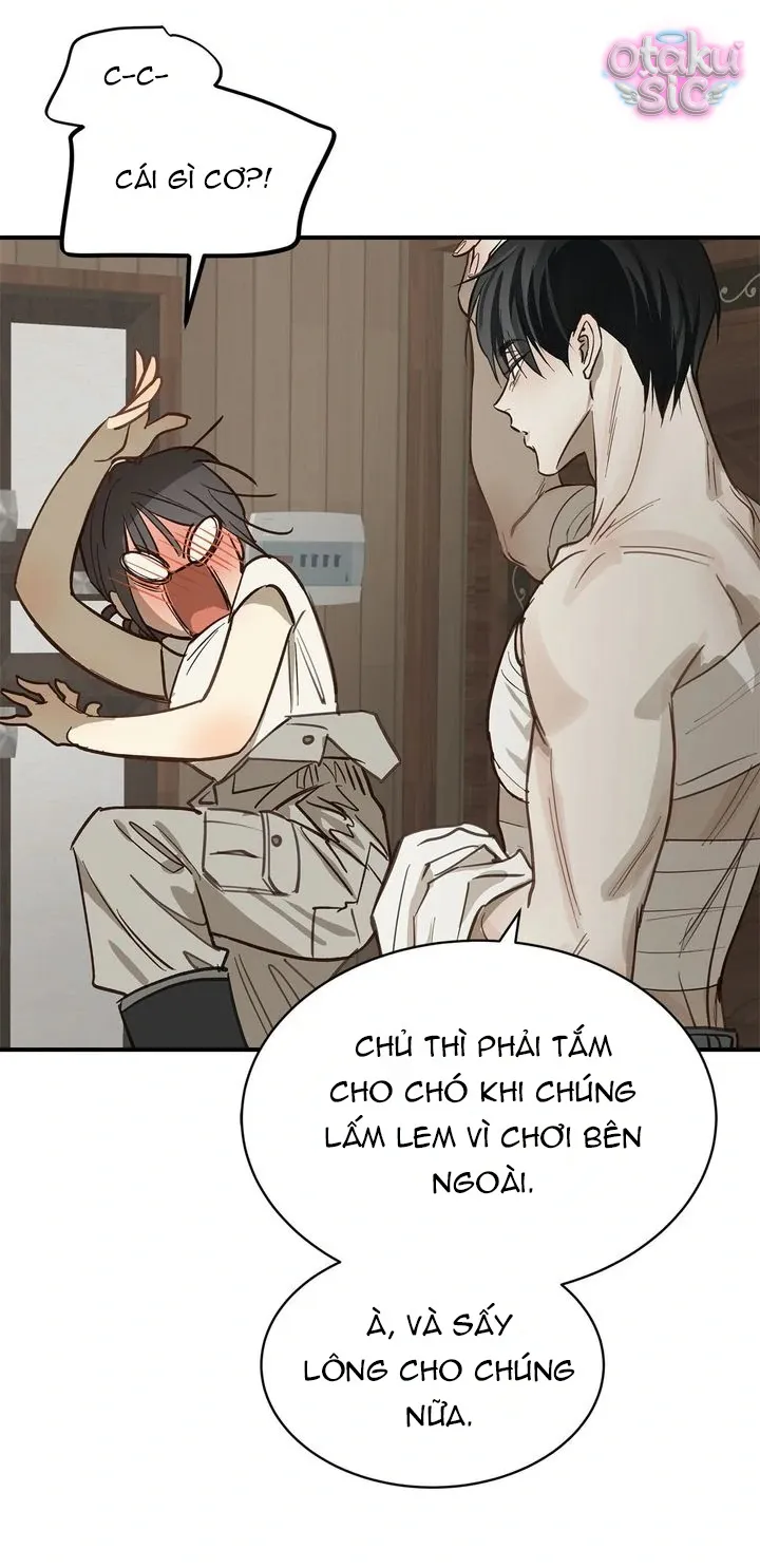 Hoa Là Mồi Nhử - Chap 29 - Trang 11