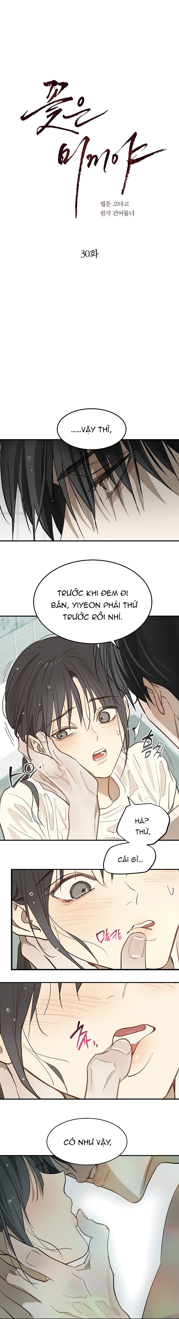 Hoa Là Mồi Nhử - Chap 30 - Trang 1