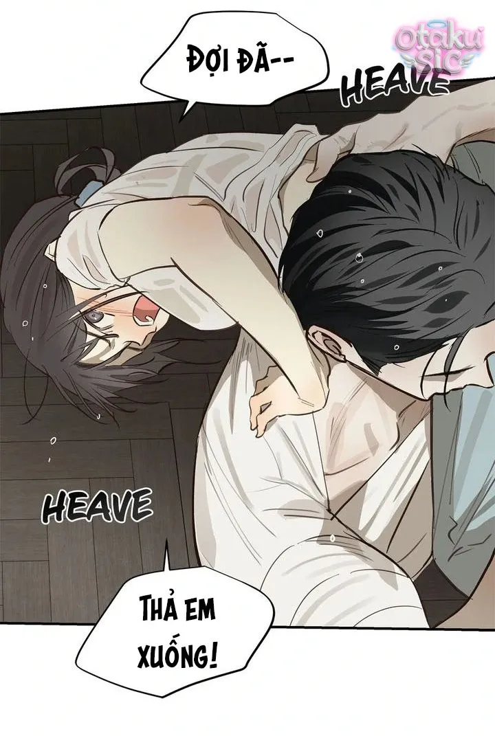 Hoa Là Mồi Nhử - Chap 31 - Trang 3