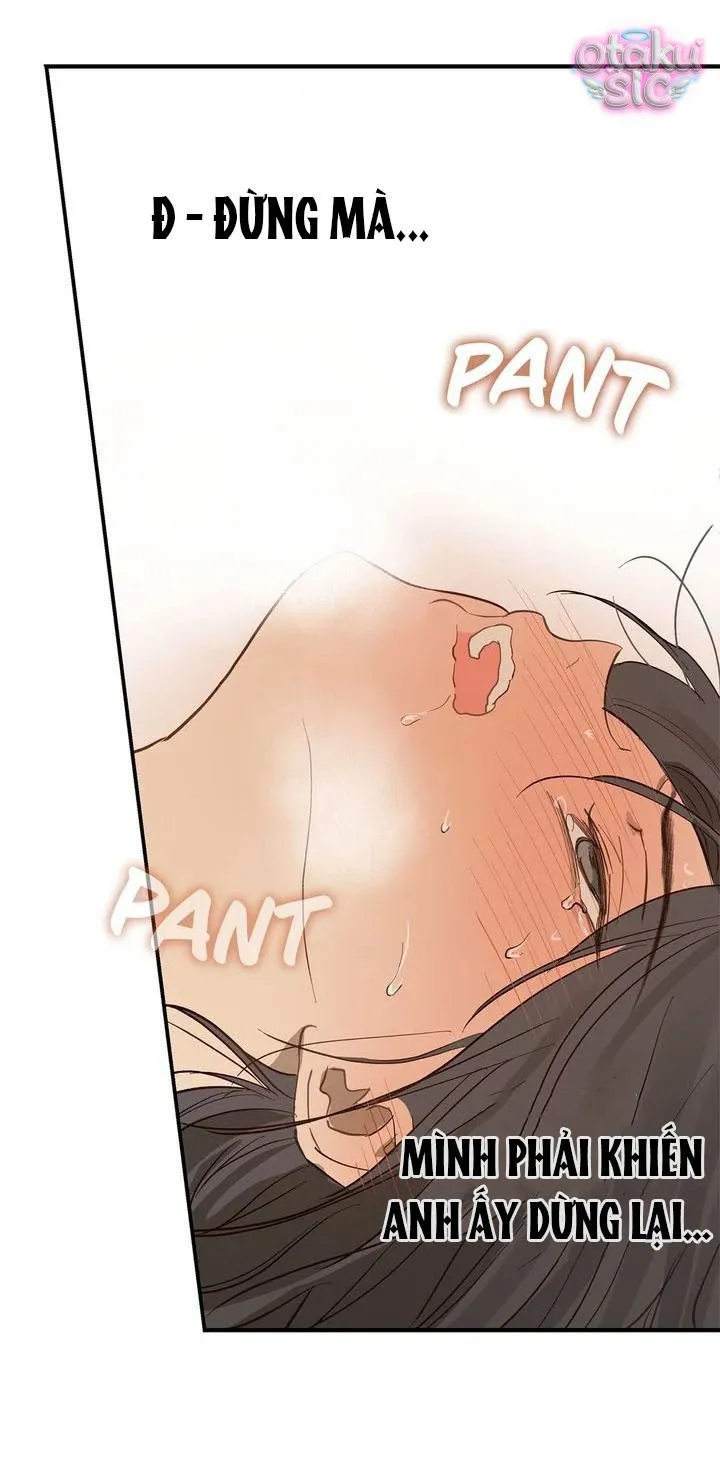 Hoa Là Mồi Nhử - Chap 31 - Trang 23