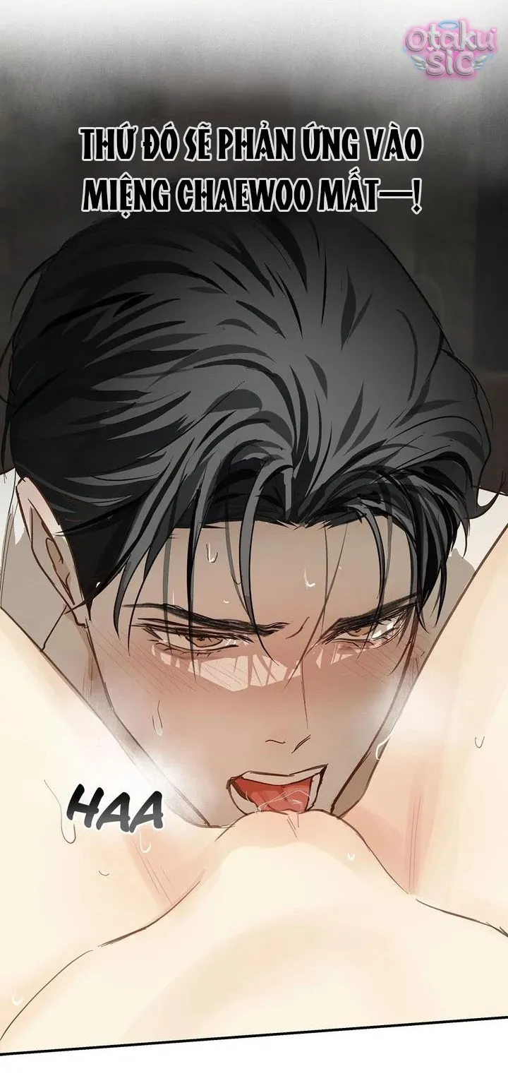 Hoa Là Mồi Nhử - Chap 31 - Trang 27