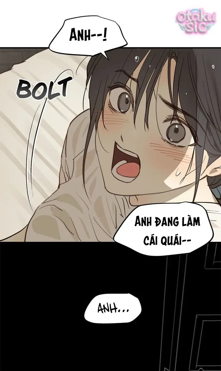 Hoa Là Mồi Nhử - Chap 31 - Trang 5