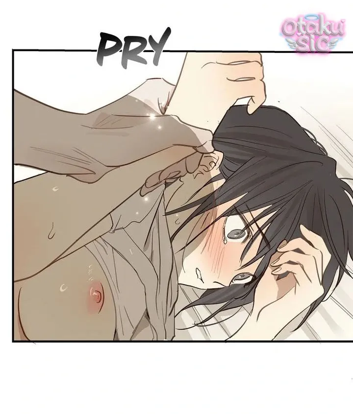 Hoa Là Mồi Nhử - Chap 31 - Trang 41