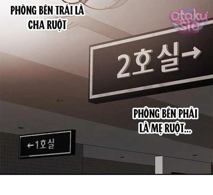 Hoa Là Mồi Nhử - Chap 33 - Trang 18