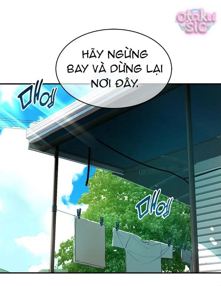 Hoa Là Mồi Nhử - Chap 33 - Trang 3