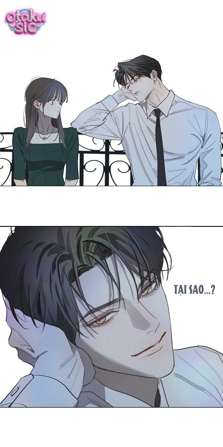 Hoa Là Mồi Nhử - Chap 36 - Trang 18