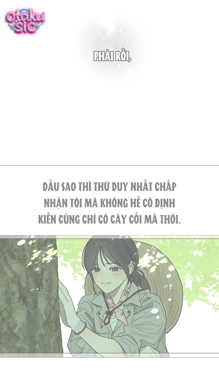 Hoa Là Mồi Nhử - Chap 36 - Trang 21