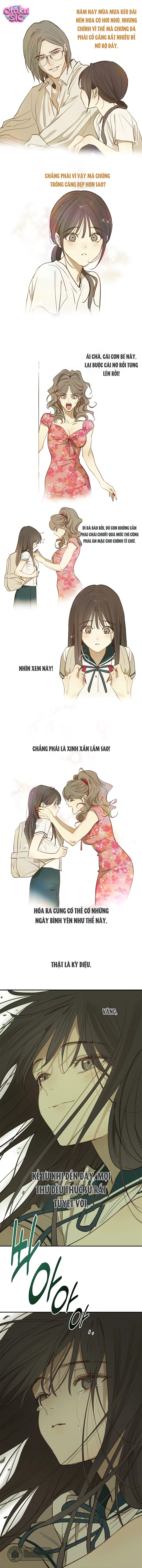 Hoa Là Mồi Nhử - Chap 37 - Trang 3