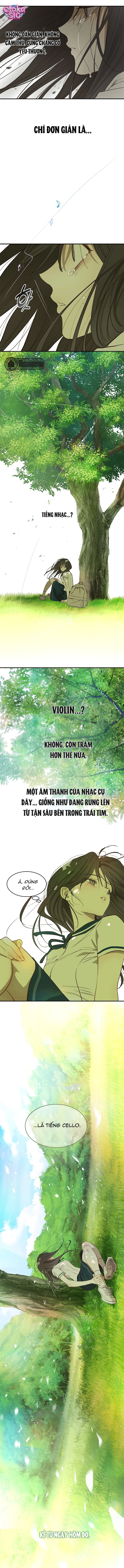 Hoa Là Mồi Nhử - Chap 37 - Trang 5