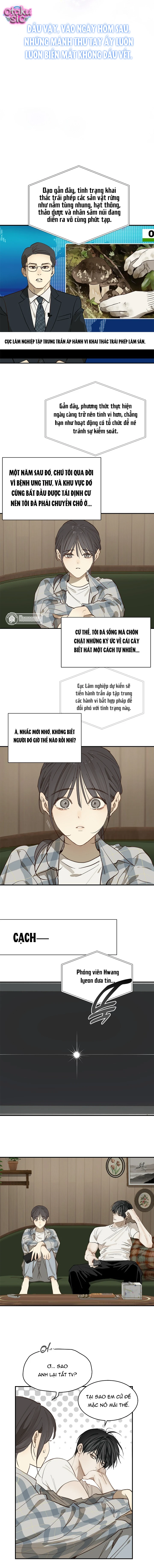 Hoa Là Mồi Nhử - Chap 37 - Trang 7