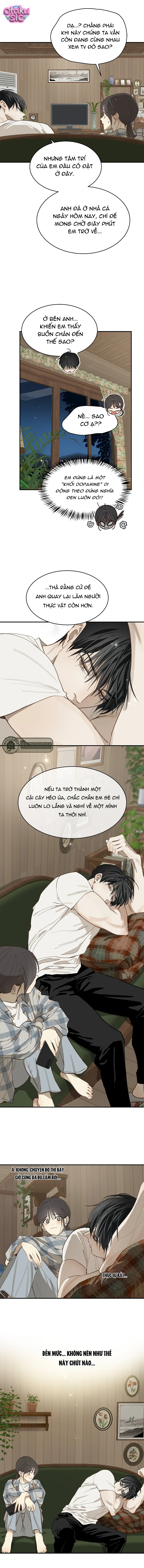 Hoa Là Mồi Nhử - Chap 37 - Trang 8
