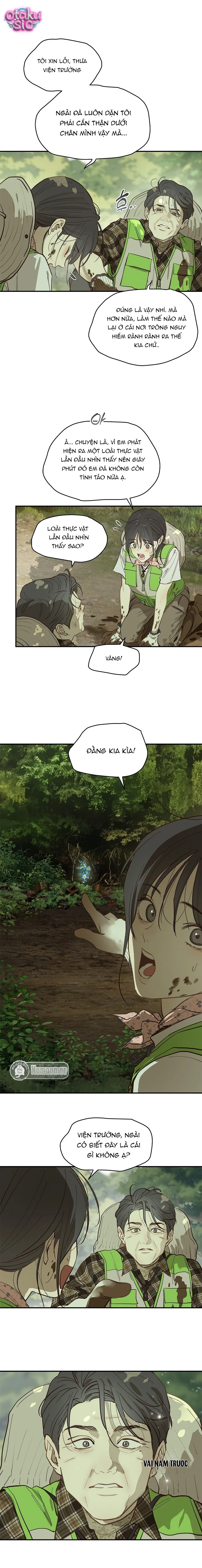 Hoa Là Mồi Nhử - Chap 38 - Trang 12