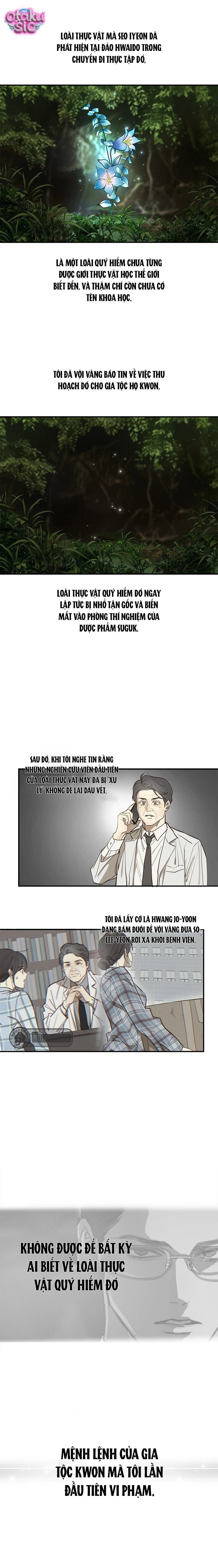 Hoa Là Mồi Nhử - Chap 38 - Trang 13
