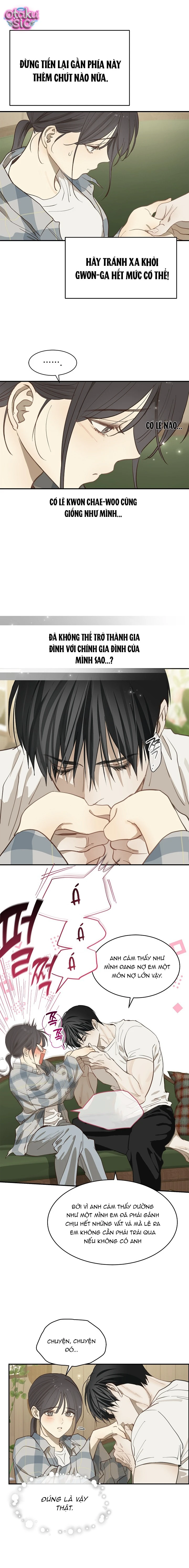 Hoa Là Mồi Nhử - Chap 38 - Trang 17