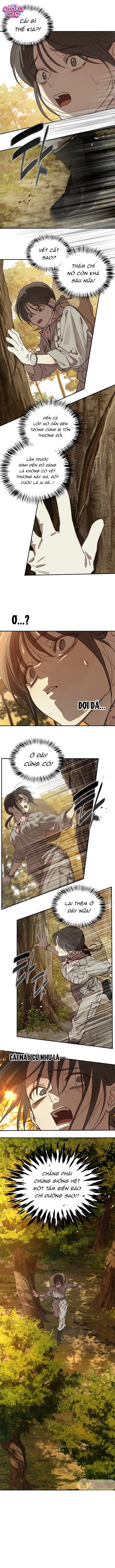 Hoa Là Mồi Nhử - Chap 39 - Trang 7