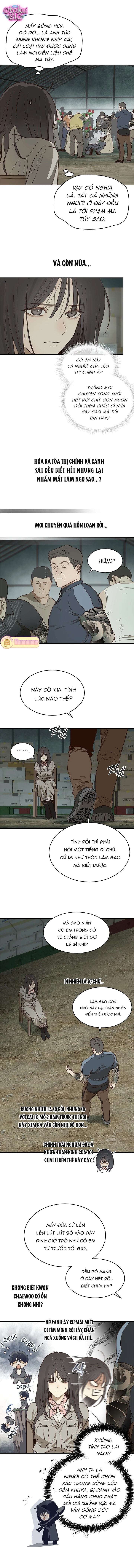 Hoa Là Mồi Nhử - Chap 41 - Trang 2