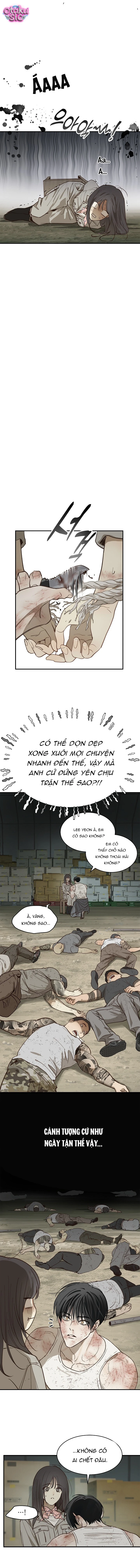 Hoa Là Mồi Nhử - Chap 41 - Trang 11