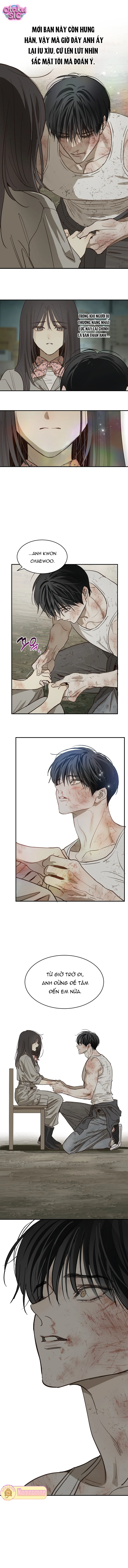 Hoa Là Mồi Nhử - Chap 41 - Trang 12