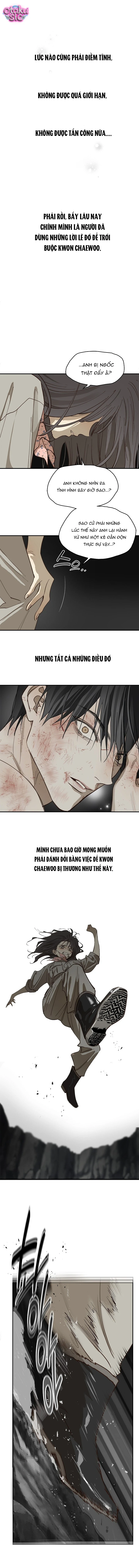 Hoa Là Mồi Nhử - Chap 41 - Trang 7