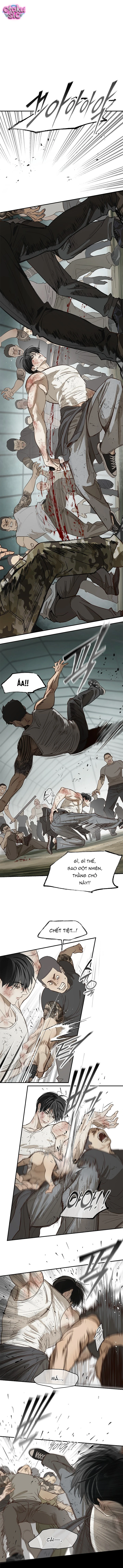 Hoa Là Mồi Nhử - Chap 41 - Trang 9