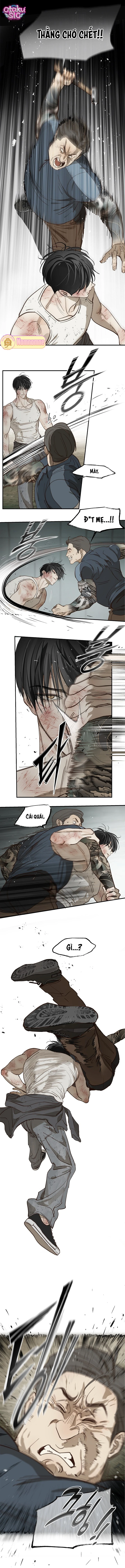 Hoa Là Mồi Nhử - Chap 41 - Trang 10