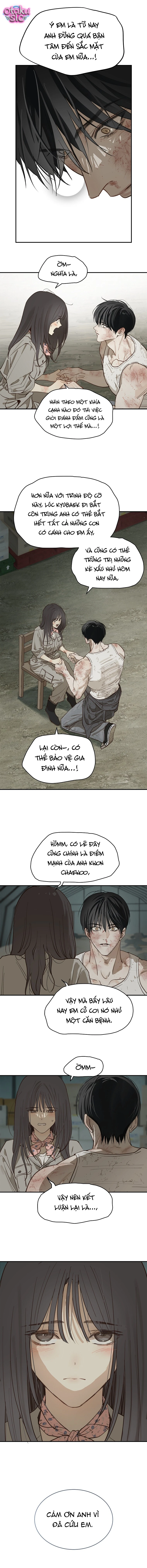 Hoa Là Mồi Nhử - Chap 42 - Trang 2