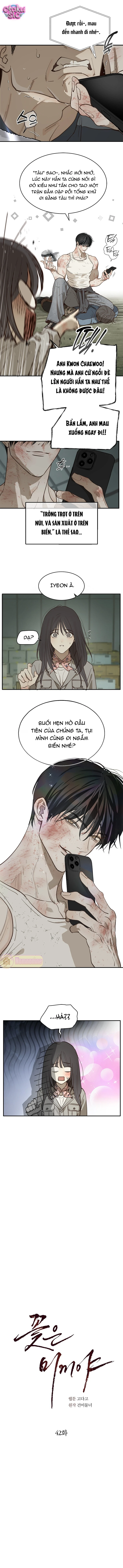 Hoa Là Mồi Nhử - Chap 42 - Trang 5