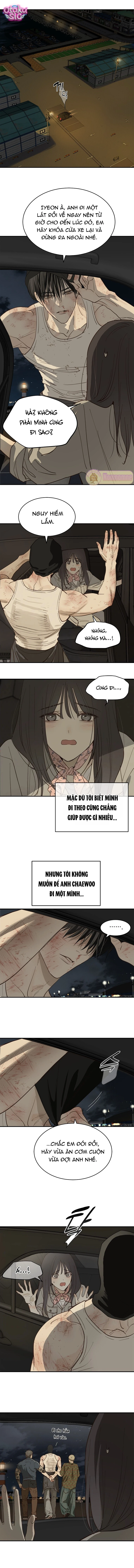 Hoa Là Mồi Nhử - Chap 42 - Trang 8