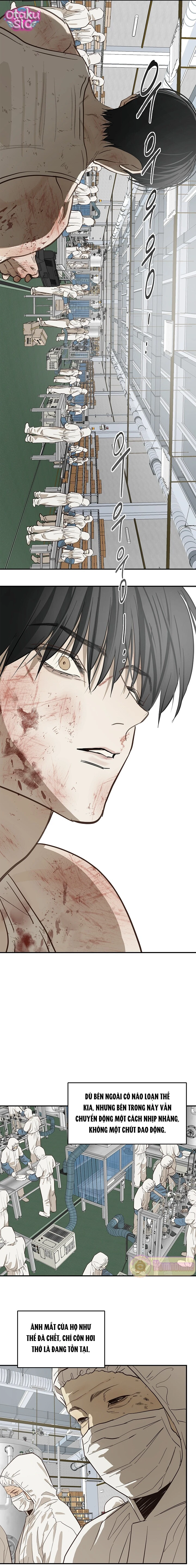 Hoa Là Mồi Nhử - Chap 43 - Trang 15