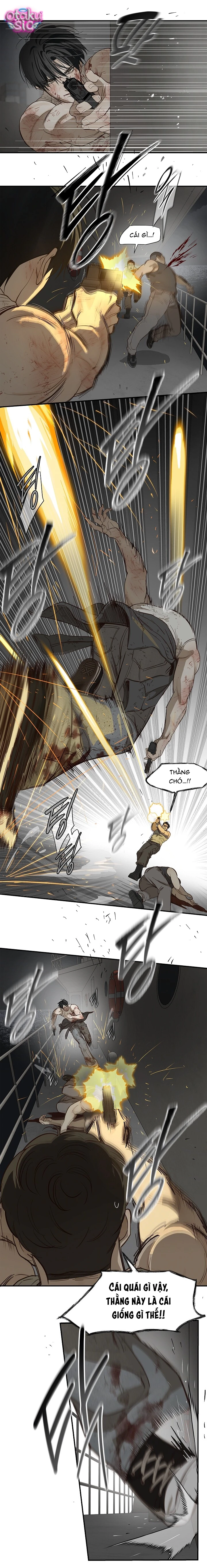 Hoa Là Mồi Nhử - Chap 43 - Trang 17