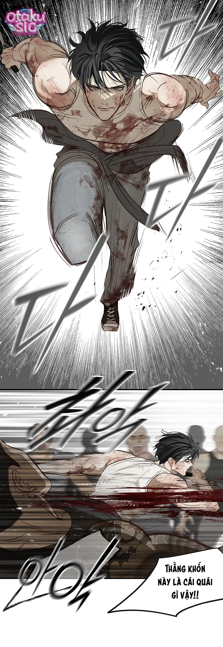 Hoa Là Mồi Nhử - Chap 43 - Trang 20