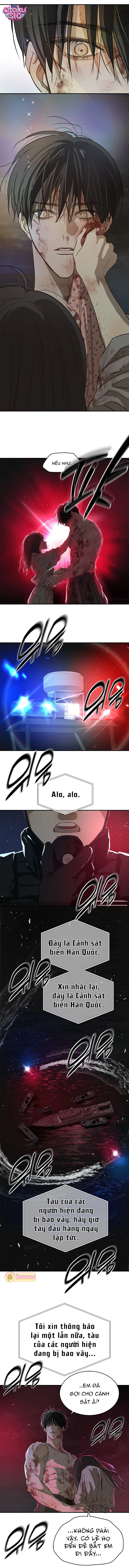 Hoa Là Mồi Nhử - Chap 44 - Trang 4